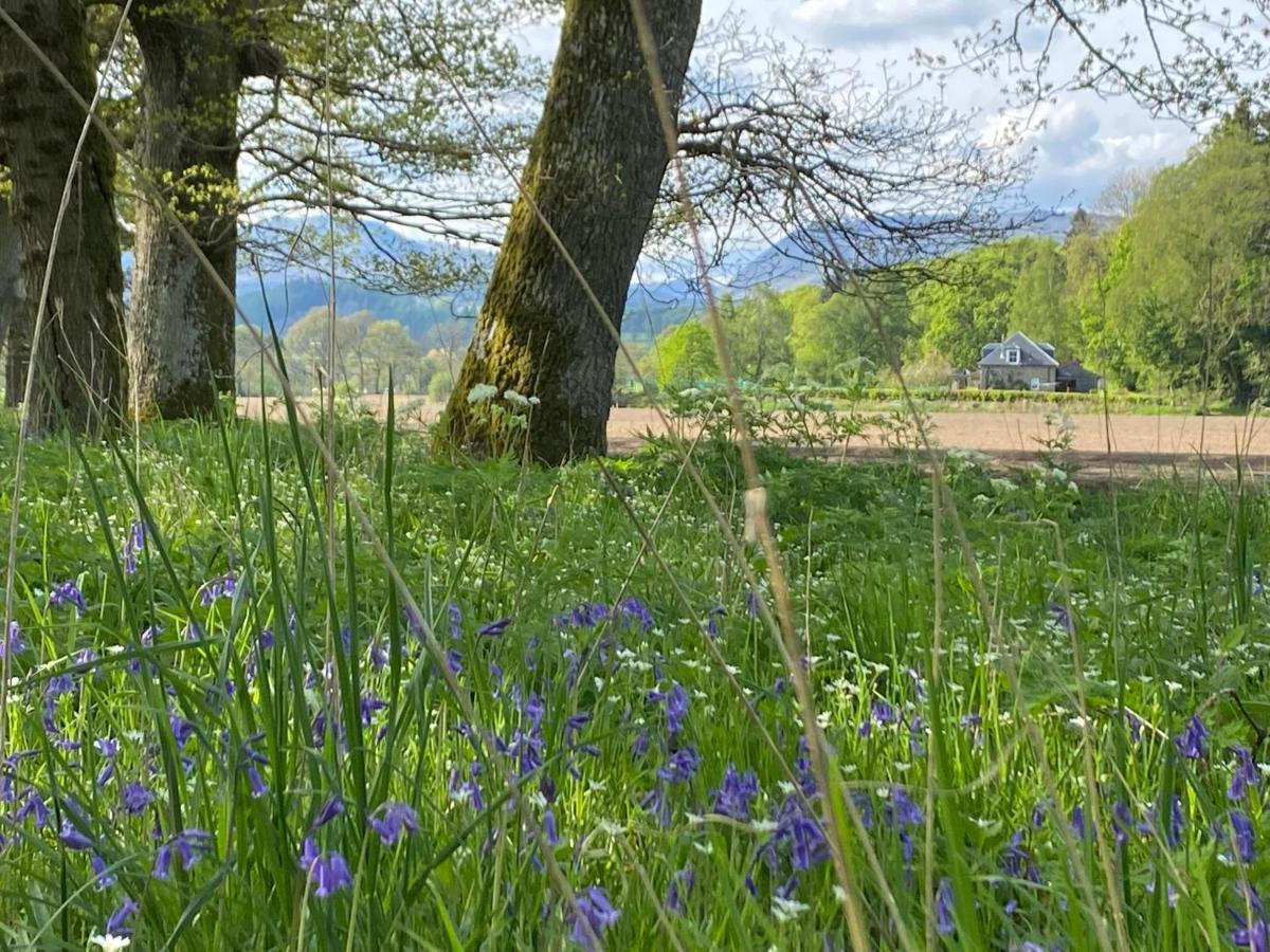 Private Detached Sleeps 4 Holiday home Crieff